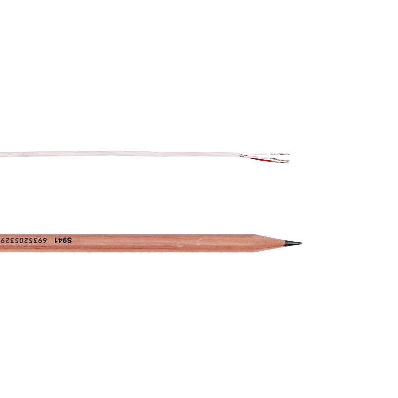Bestand tegen hoge temperaturen Pvc Ptfe Multi-core anticorrosieve thermokoppelverlengdraad