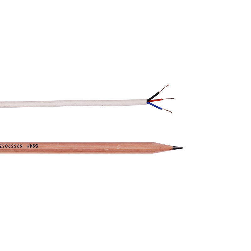 Bestand tegen hoge temperaturen Pvc Ptfe Multi-core anticorrosieve thermokoppelverlengdraad