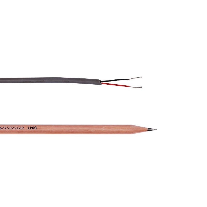 Bestand tegen hoge temperaturen Pvc Ptfe Multi-core anticorrosieve thermokoppelverlengdraad
