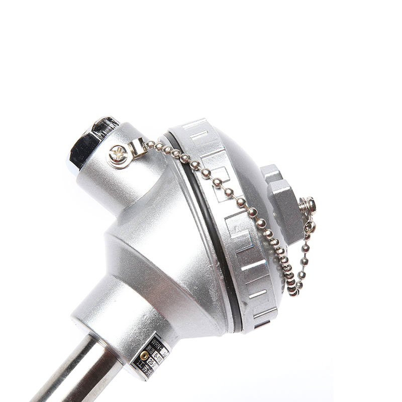 Draaddiameter van 0,2–0,4 mm Type S/B/R platina-rhodium thermokoppeloven hogetemperatuursensorsonde voor gesmolten metalen