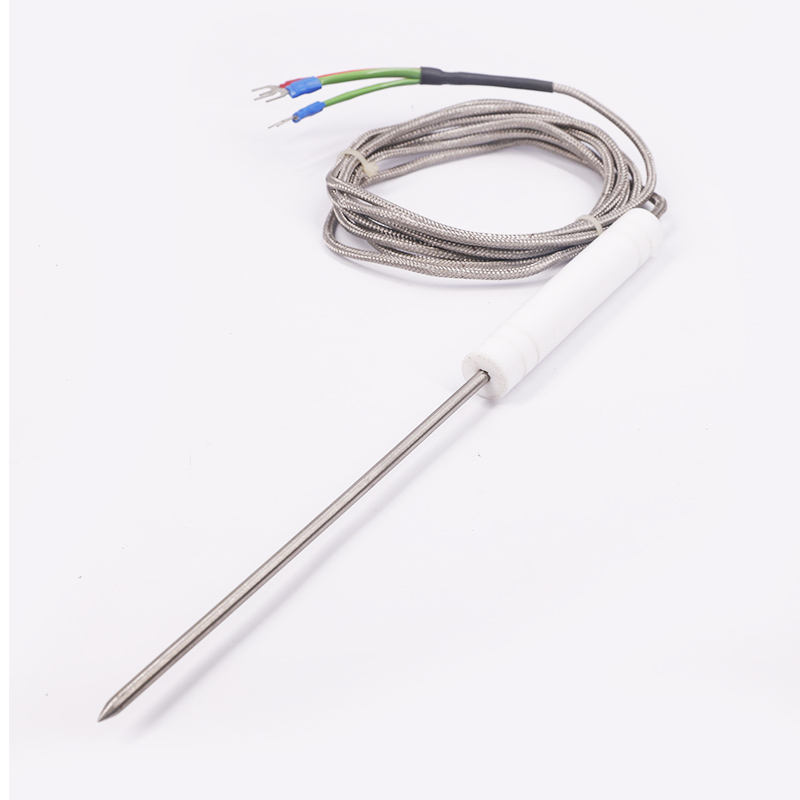 PT1000 PT100 NTC Food-grade sonde temperatuursensor roestvrijstalen sonde thermokoppel voor vleesbarbecues en ovens
