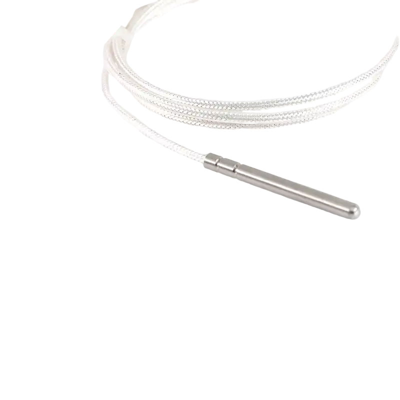 Industriële PT100 RTD-temperatuursensor 3-draads platina thermistor 50 mm thermokoppelsonde
