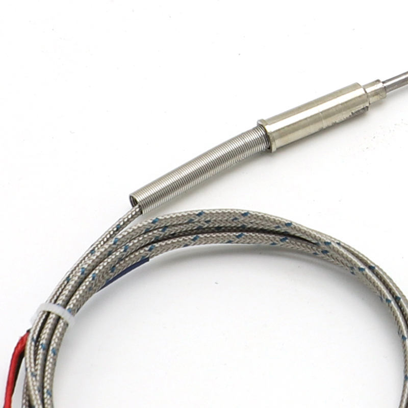 Naaldgepantserd flexibel thermokoppel, type K, 2-draads, hoge temperatuur, uiterst nauwkeurig thermokoppel met uitgebreide PT100 RTD-sensor