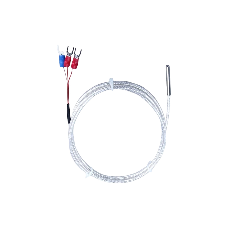 Industriële PT100 RTD-temperatuursensor 3-draads platina thermistor 50 mm thermokoppelsonde