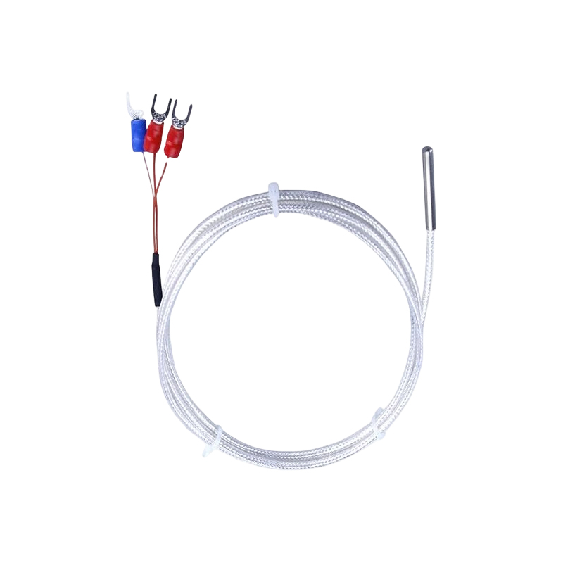 Industriële PT100 RTD-temperatuursensor 3-draads platina thermistor 50 mm thermokoppelsonde