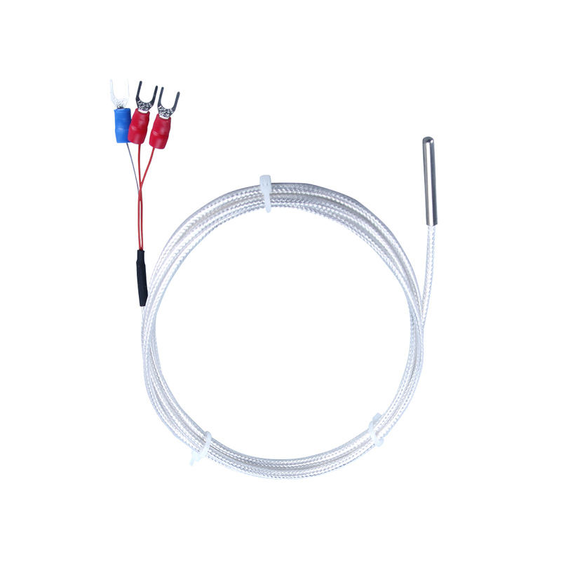 WZP-035 PT100-sonde 5 × 35 mm kabel 1–20 m platina weerstandsthermometer RTD corrosiebestendig waterdicht anti-corrosie temperatuursensor