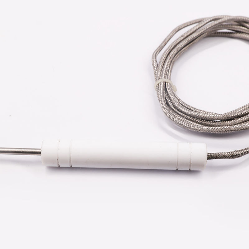 PT1000 PT100 NTC Food-grade sonde temperatuursensor roestvrijstalen sonde thermokoppel voor vleesbarbecues en ovens