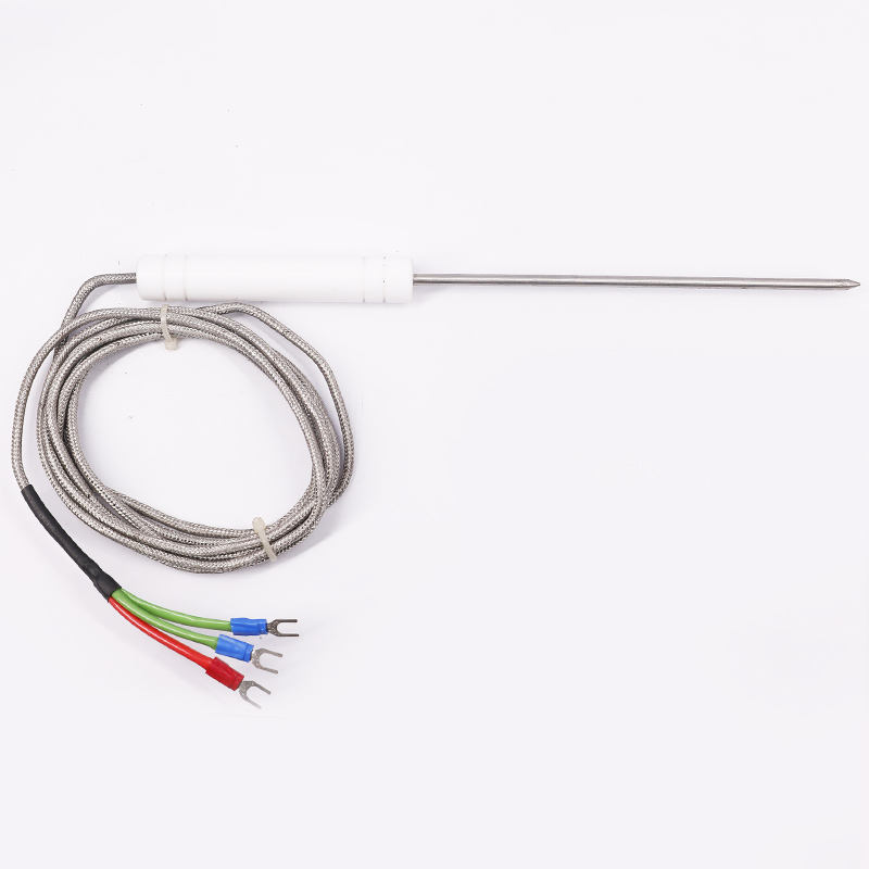 PT1000 PT100 NTC Food-grade sonde temperatuursensor roestvrijstalen sonde thermokoppel voor vleesbarbecues en ovens