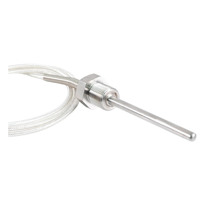 Fabrieksdirect - 200 ~ 450°C Klasse A 316 Rtd Pt100 Temperatuursensor Platina Weerstandsthermometer Sonde 1/2