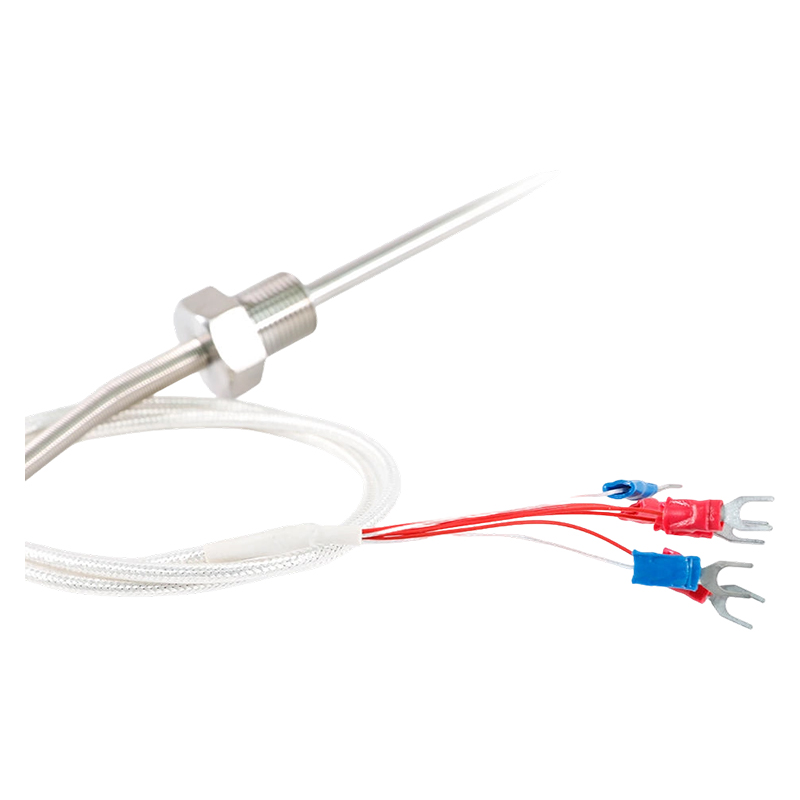 Fabrieksdirect - 200 ~ 450°C Klasse A 316 Rtd Pt100 Temperatuursensor Platina Weerstandsthermometer Sonde 1/2
