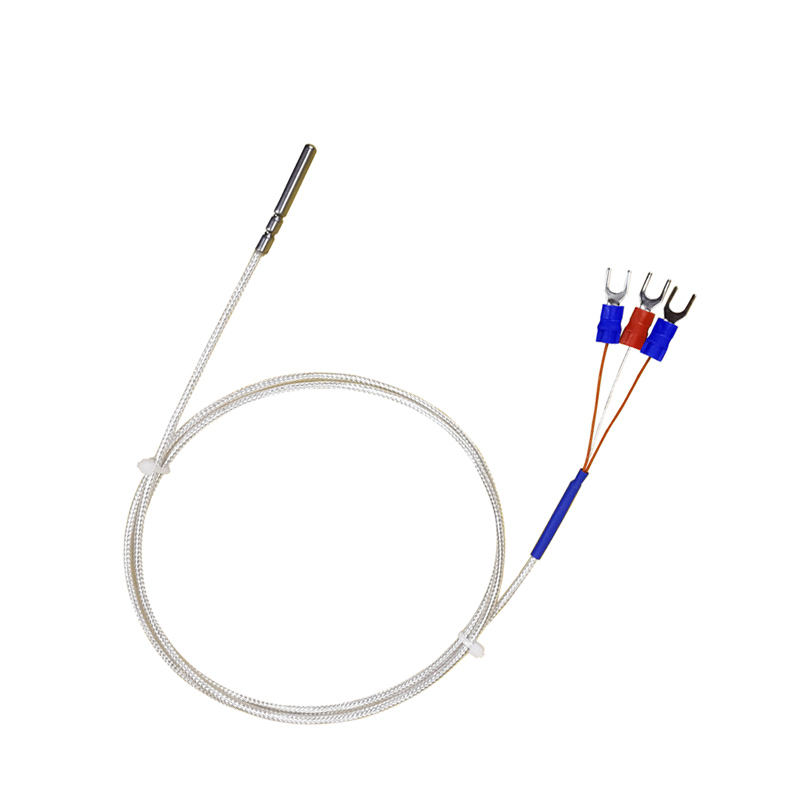 WZP-035 PT100-sonde 5 × 35 mm kabel 1–20 m platina weerstandsthermometer RTD corrosiebestendig waterdicht anti-corrosie temperatuursensor