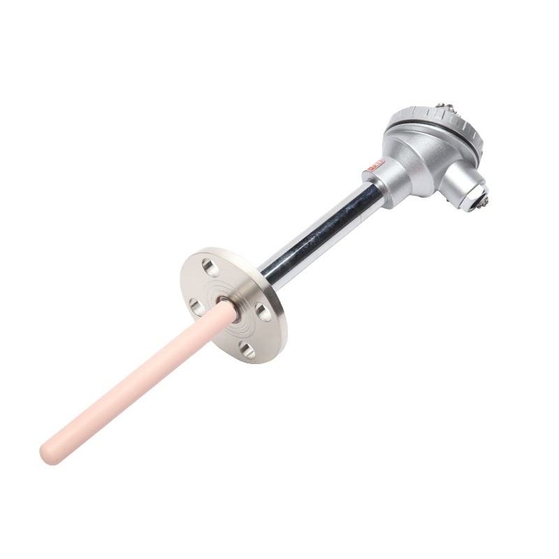 Draaddiameter van 0,2–0,4 mm Type S/B/R platina-rhodium thermokoppeloven hogetemperatuursensorsonde voor gesmolten metalen