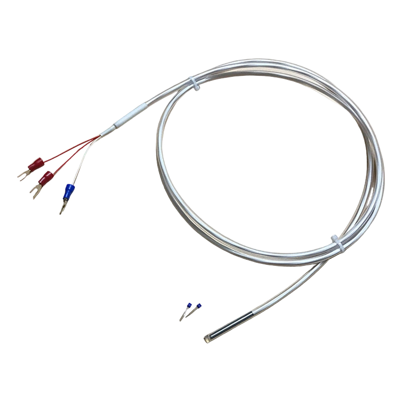 Industriële PT100 RTD-temperatuursensor 3-draads platina thermistor 50 mm thermokoppelsonde