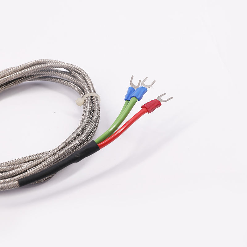 PT1000 PT100 NTC Food-grade sonde temperatuursensor roestvrijstalen sonde thermokoppel voor vleesbarbecues en ovens