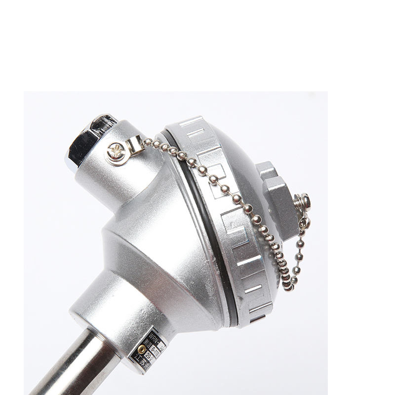 Draaddiameter van 0,2–0,4 mm Type S/B/R platina-rhodium thermokoppeloven hogetemperatuursensorsonde voor gesmolten metalen